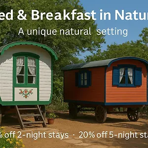 Bed & Breakfast Mammaloe